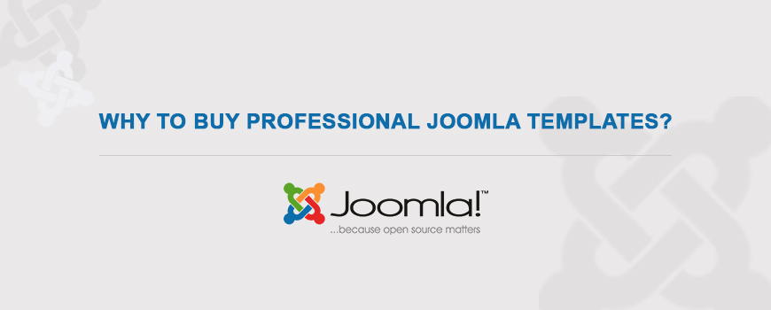 Professional Joomla Templates
